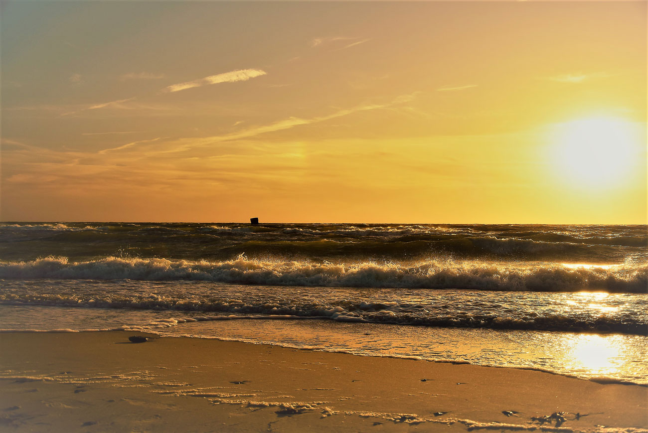 Haus VierEichen Prerow